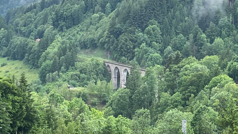 Baden-Baden, the Black Forest, Frieburg